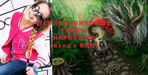 твердый Богородск