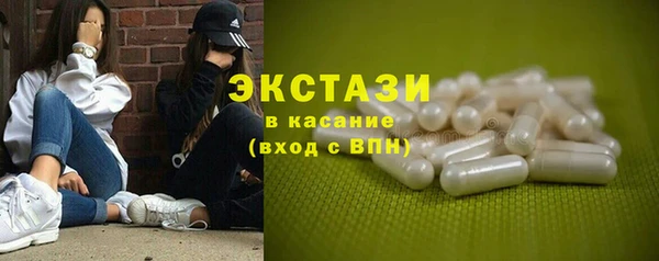 ECSTASY Богданович